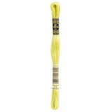 DMC Thread 11 Spurge Hand Stranded Cotton