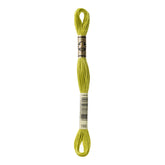 DMC 166 Medium Light Moss Green Stranded Cotton Embroidery Floss