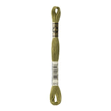 DMC Stranded Cotton 100g Cone 3012 Khaki Green Md (Art 5214)