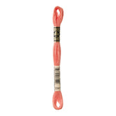 DMC Stranded Cotton 100g Cone 3341 Apricot (Art 5214)