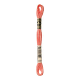 DMC Stranded Cotton 100g Cone 3341 Apricot (Art 5214)