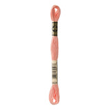 DMC Stranded Cotton 100g Cone 3824 Apricot Light (Art 5214)