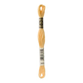 DMC 3855 Autumn Gold Light Stranded Cotton