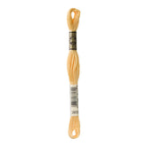DMC 3855 Autumn Gold Light Stranded Cotton