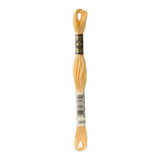 DMC 3855 Autumn Gold Light Stranded Cotton