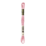 DMC Stranded Cotton 100g Cone 604 Cranberry Light (Art 5214)