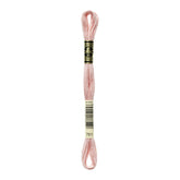 DMC Stranded Cotton 100g Cone 761 Salmon Light (Art 5214)
