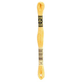 DMC 19 Earth Of Provence Stranded Cotton Embroidery Floss