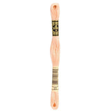 DMC 20 Surimi Stranded Cotton Embroidery Floss