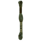 DMC 3053 Green Grey Stranded Cotton Embroidery Floss