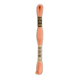 DMC 3341 Apricot Stranded Cotton Embroidery Floss