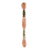 DMC 3771 Ultra Very Light Terra Cotta Stranded Cotton Embroidery Floss