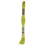 DMC 3819 Light Moss Green Stranded Cotton Embroidery Floss