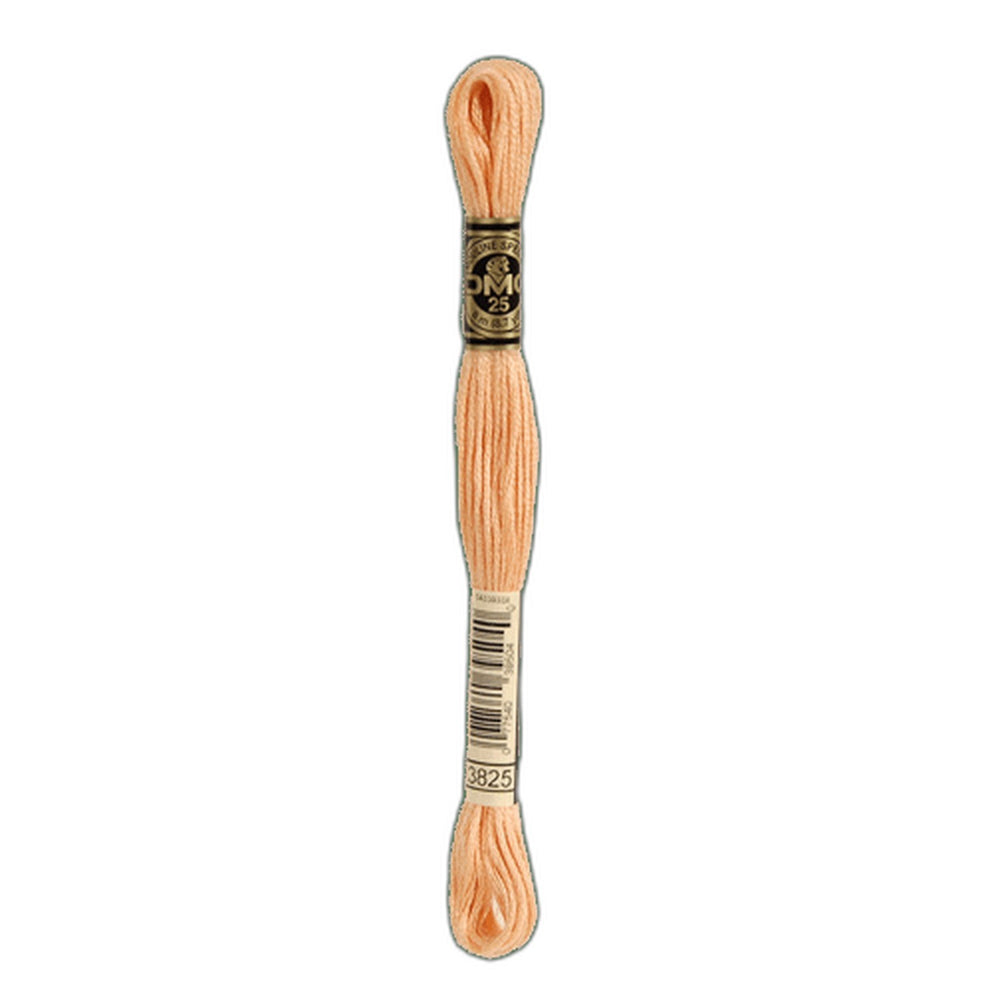 DMC 3825 Pale Pumpkin Stranded Cotton Embroidery Floss