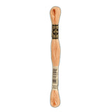 DMC 3825 Pale Pumpkin Stranded Cotton Embroidery Floss