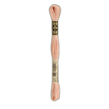 DMC 754 Light Peach Stranded Cotton Embroidery Floss
