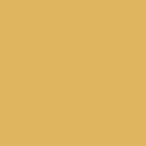 DMC Stranded Cotton 100g Cone 3820 Straw Dark (Art 5214)