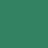 DMC Stranded Cotton 100g Cone 505 Jade Green (Art 5214)