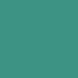 DMC Stranded Cotton 100g Cone 943 Green Bright Md (Art 5214)