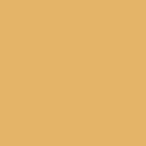 DMC Stranded Cotton 100g Cone 728 Topaz (Art 5214)