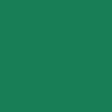 DMC Stranded Cotton 100g Cone 910 Emerald Green Dark (Art 5214)