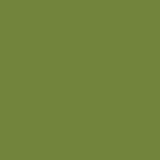 DMC Stranded Cotton 100g Cone 469 Avocado Green (Art 5214)