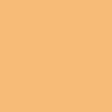 DMC Stranded Cotton 100g Cone 3827 Golden Brown Pale (Art 5214)