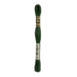 DMC 895 Very Dark Hunter Green Stranded Cotton Embroidery Floss