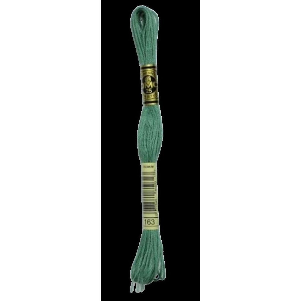 DMC 163 Medium Caledon Green Stranded Cotton Embroidery Floss