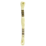 DMC 10 Almond Stranded Cotton Embroidery Floss