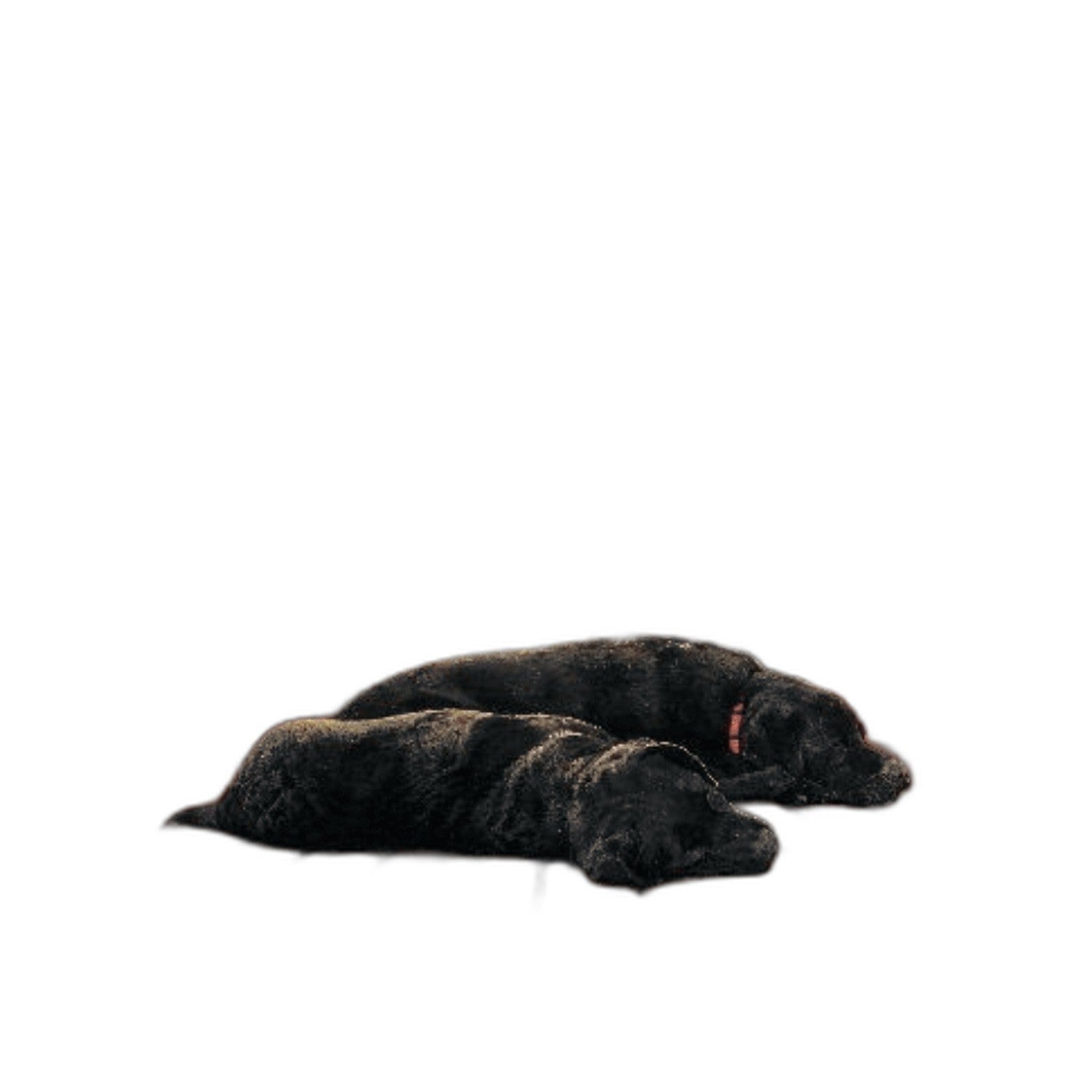 HAED Fireside Companions Pattern - Crafty Hobbies Australia