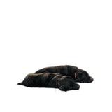HAED Fireside Companions Pattern - Crafty Hobbies Australia