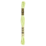 DMC  Thread  14 Hellebore Fruit Hand Embroidery Floss Stranded Cotton