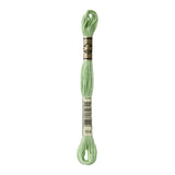 DMC Stranded Cotton 100g Cone 164 Forest Green Lt (Art 5214)