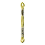 DMC Stranded Cotton 100g Cone 165 Moss Green Vy Lt (Art 5214)