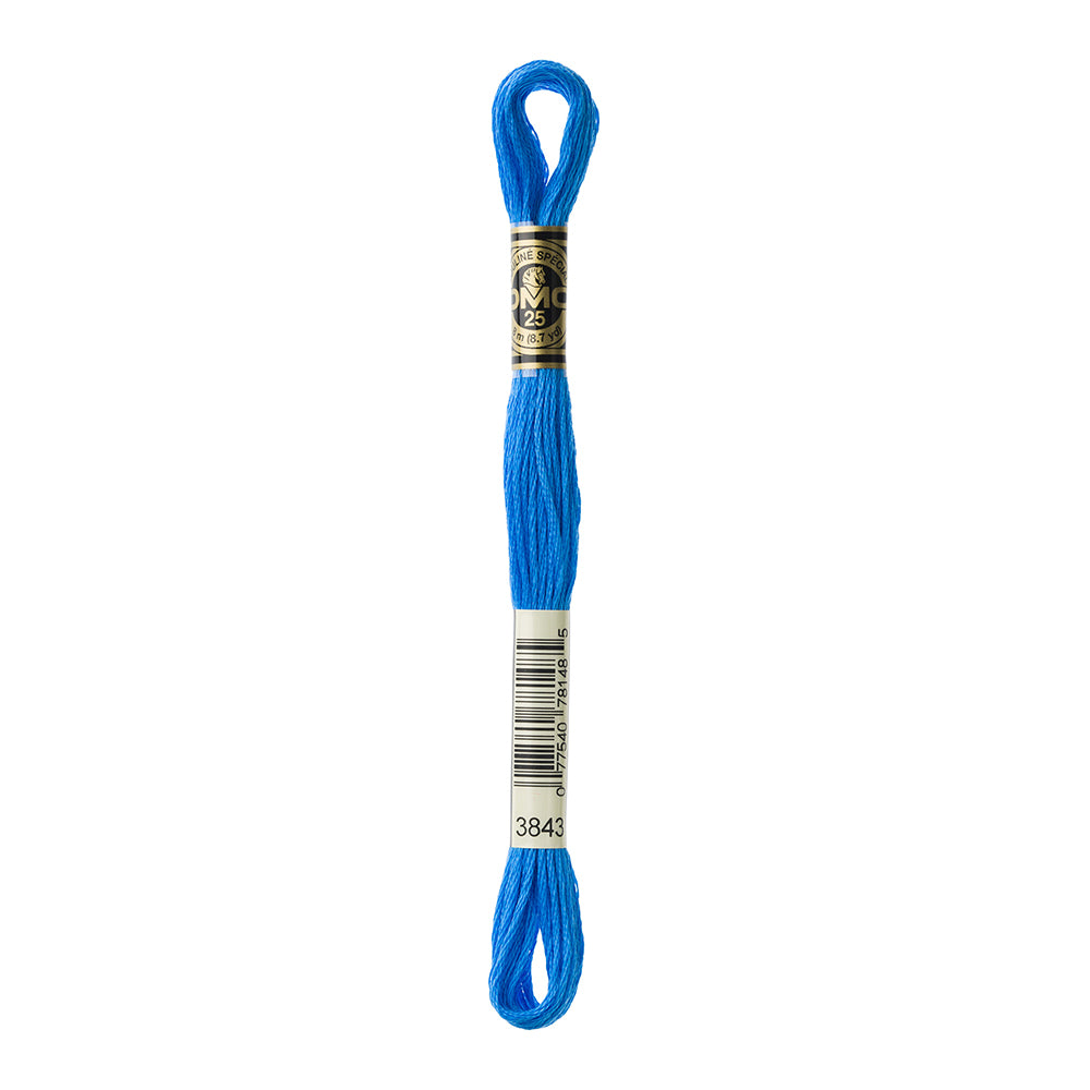 DMC 3843 Electric Blue Stranded Cotton