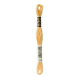 DMC Stranded Cotton 100g Cone 3855 Autumn Gold Lt (Art 5214)