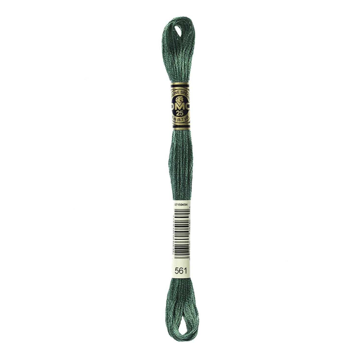DMC Stranded Cotton 100g Cone 561 Celadon Green VD (Art 5214)