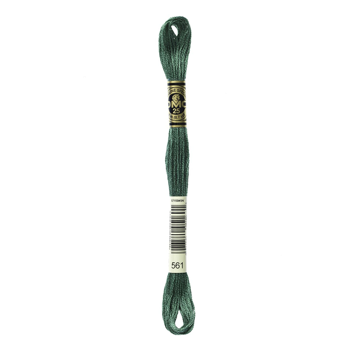 DMC Stranded Cotton 100g Cone 561 Celadon Green VD (Art 5214)