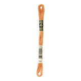 DMC Stranded Cotton 100g Cone 722 Orange Spice Light (Art 5214)