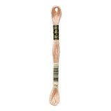 DMC Stranded Cotton 100g Cone 754 Peach Light (Art 5214)