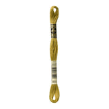 DMC Stranded Cotton 100g Cone 833 Golden Olive Lt (Art 5214)