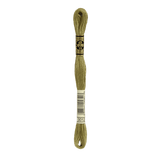 DMC 3012 Medium Khaki Green Stranded Cotton Embroidery Floss