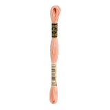 DMC 3824 Light Apricot Stranded Cotton Embroidery Floss