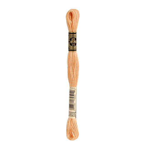 DMC 3825 Pale Pumpkin Stranded Cotton Embroidery Floss