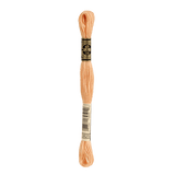 DMC 3825 Pale Pumpkin Stranded Cotton Embroidery Floss