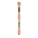 DMC 754 Light Peach Stranded Cotton Embroidery Floss