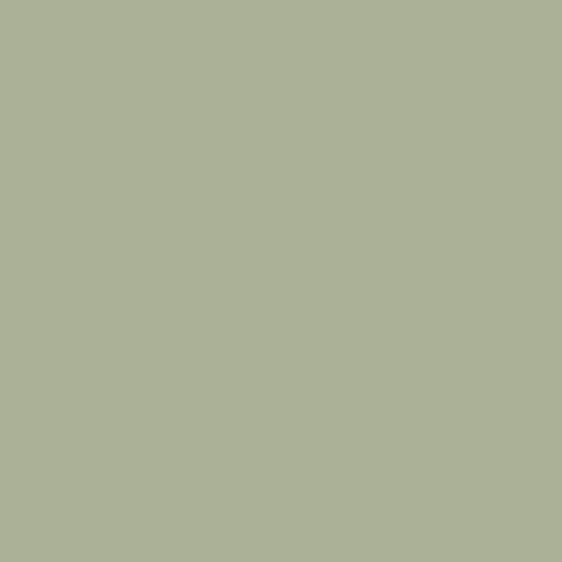 DMC Stranded Cotton 100g Cone 523 Fern Green Lt (Art 5214)