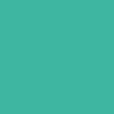 DMC Stranded Cotton 100g Cone 958 Sea Green Dark (Art 5214)