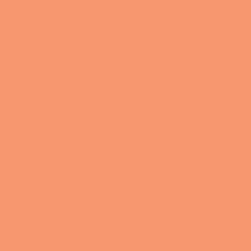 DMC Stranded Cotton 100g Cone 722 Orange Spice Light (Art 5214)